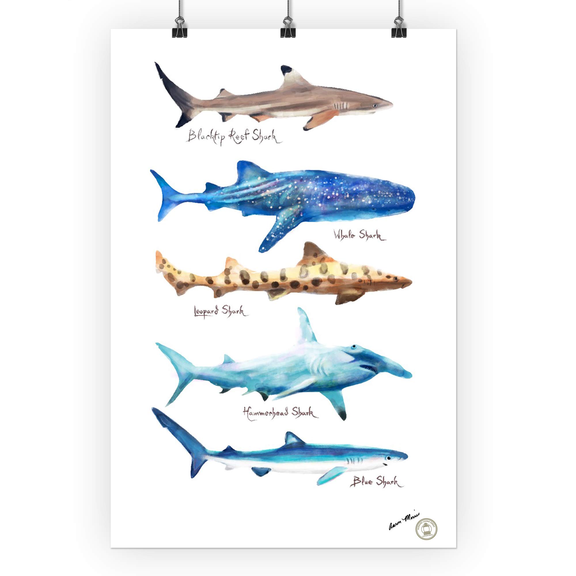 Amazon.co.jp: サメの名前 - 水彩画 81177 (24x36 サイン入りプリント